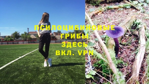 ALPHA-PVP Аркадак
