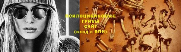 мет Арсеньев
